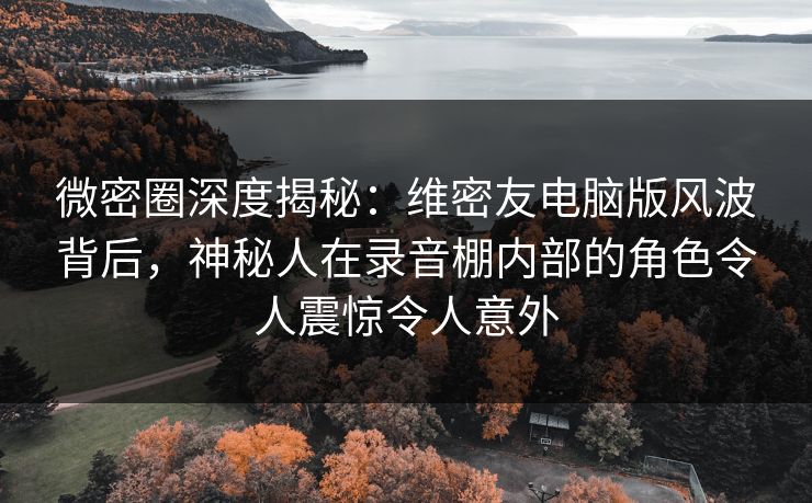 微密圈深度揭秘：维密友电脑版风波背后，神秘人在录音棚内部的角色令人震惊令人意外