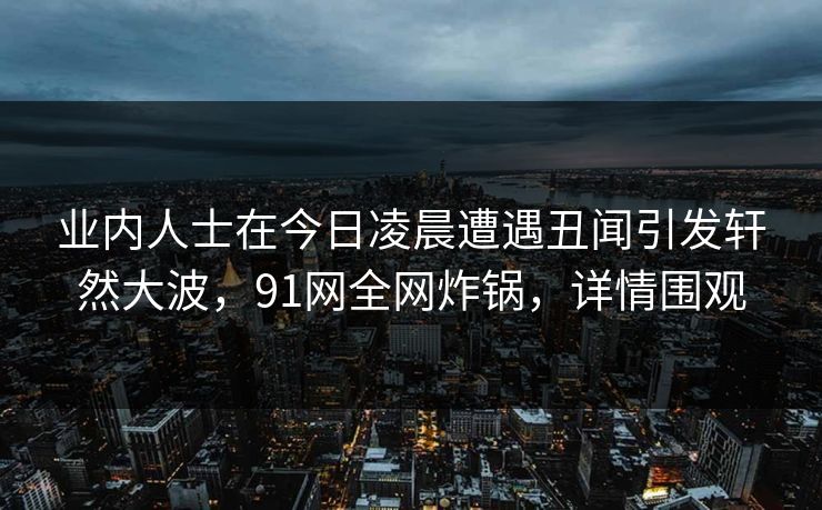 业内人士在今日凌晨遭遇丑闻引发轩然大波，91网全网炸锅，详情围观